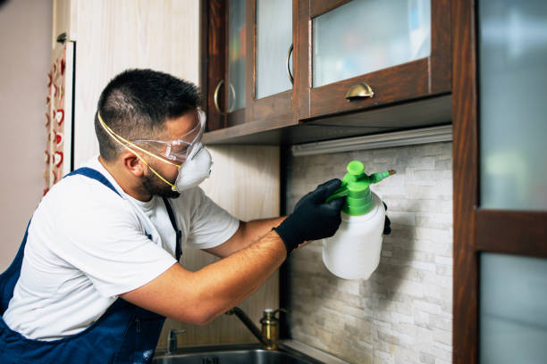Best Pest Inspection Near Me  in Chowchilla, CA