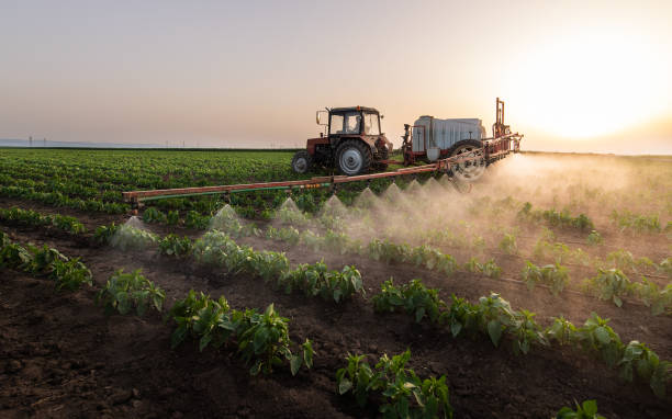 Wildlife Control Services in Chowchilla, CA