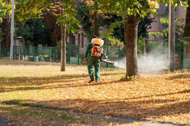 Best Termite Control Services  in Chowchilla, CA
