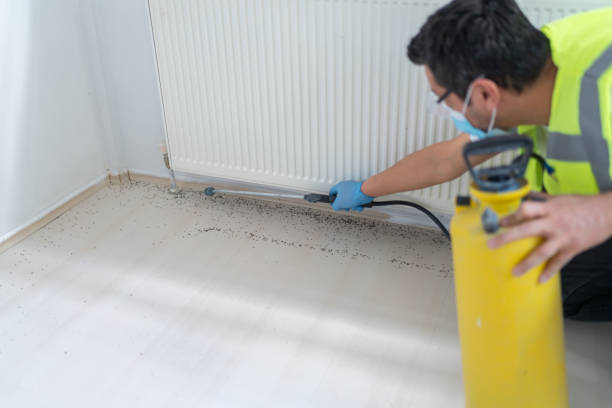 Best Affordable Pest Control Services  in Chowchilla, CA