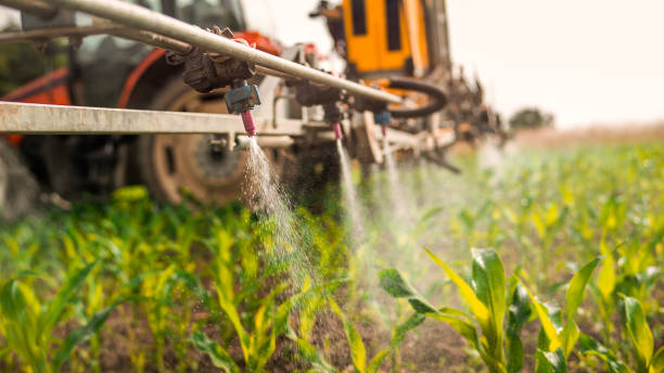 Best Pest Control Near Me  in Chowchilla, CA